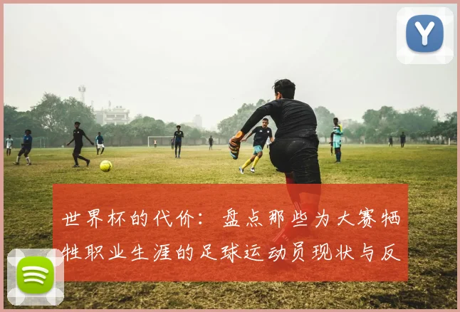世界杯的代价:盘点那些为大赛牺牲职业生涯的足球运动员现状与反思