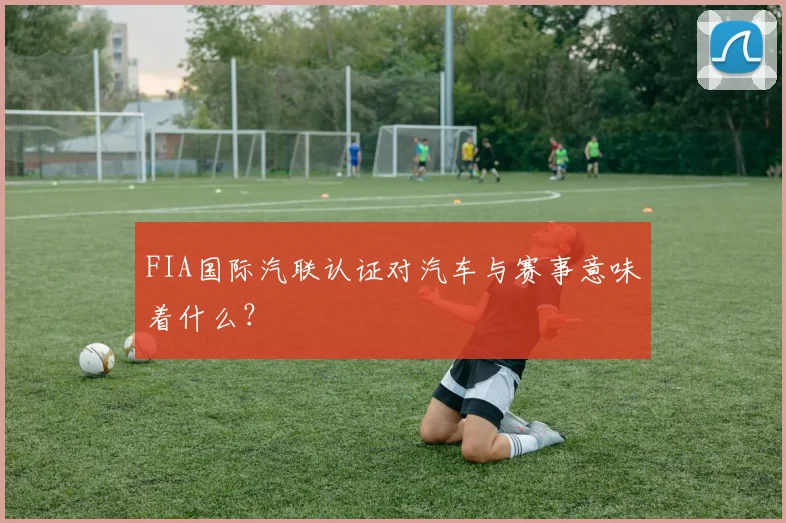 FIA国际汽联认证对汽车与赛事意味着什么？