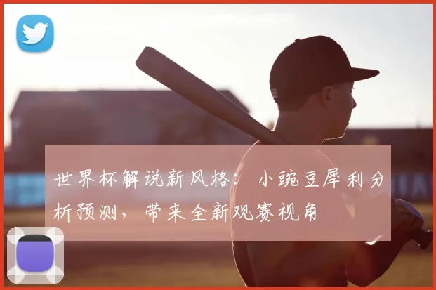 世界杯解说新风格:小豌豆犀利分析预测,带来全新观赛视角